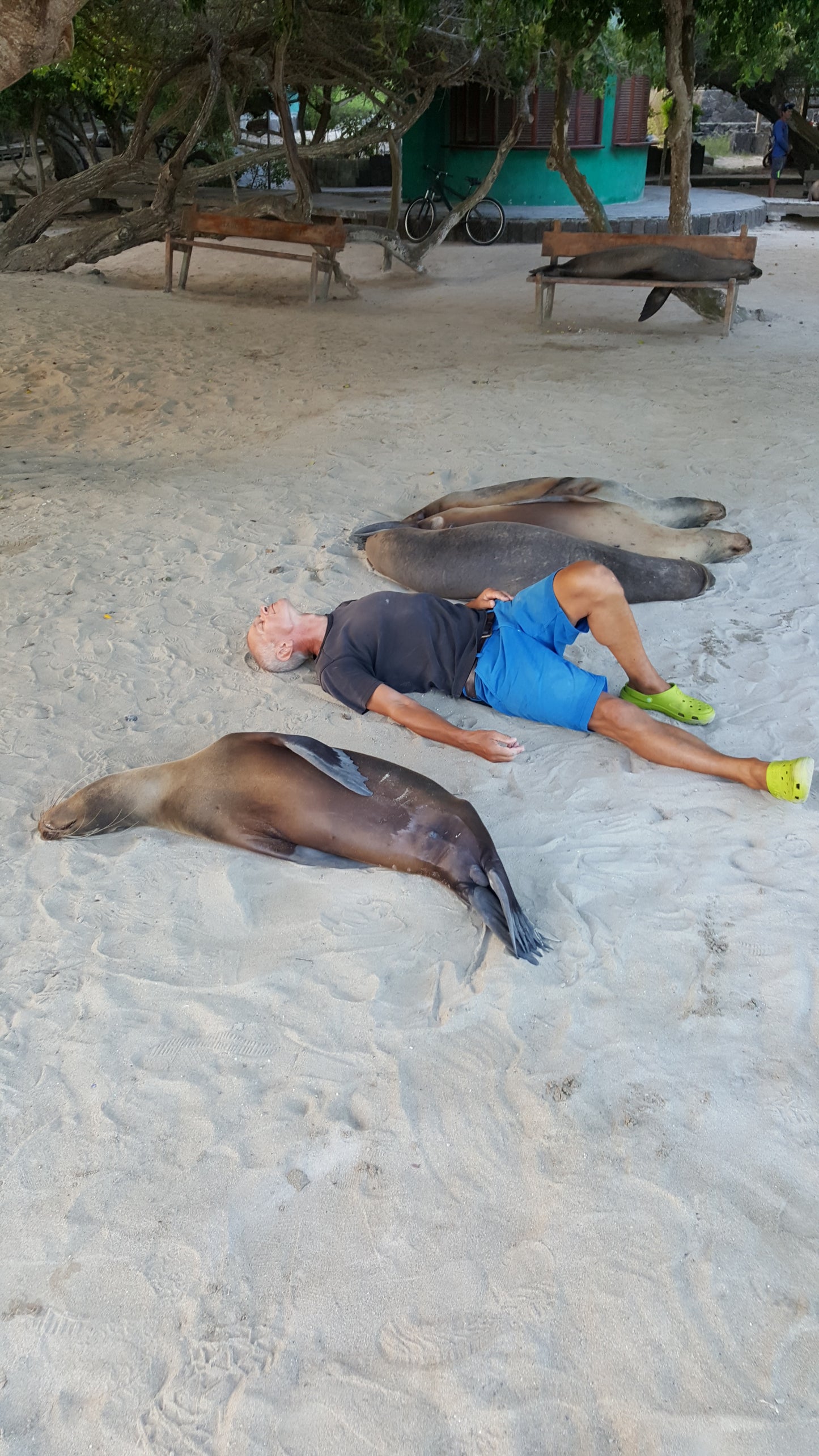 Boek: Alles is goed in mijn wereld