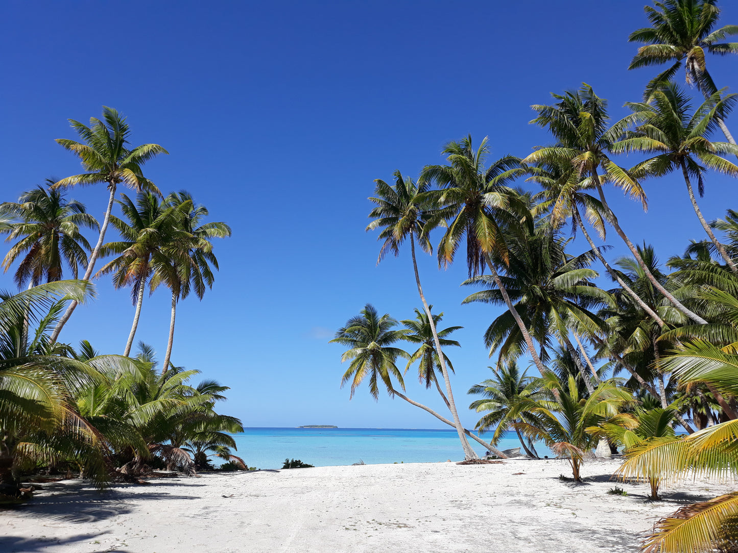 Boek: Alles is goed in mijn wereld